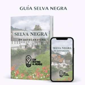 SELVA NEGRA GUÍA PDF
